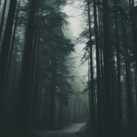 Ярик Грибинюк